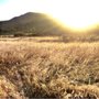 Photo of Los Penasquitos Parking Area