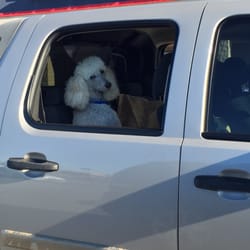 The Dog House - Visiting The Dog House at Lowe's on Vann Drive!