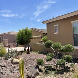 Daprince Landscaping