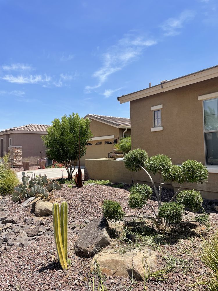 DAPRINCE LANDSCAPING Updated October 2024 Maricopa, Arizona Tree Services Phone Number