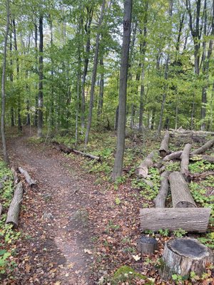 Kelso Conservation Area by null