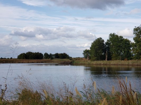 Bombay Hook National Wildlife Refuge by null