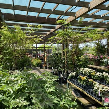 Sloat Garden Center - Part of the shaded outdoor area - Nurseries & Gardening Near Me - Concord, California Sloat Garden Center - Part of the shaded outdoor area - Nurseries & Gardening Near Me - Concord, California