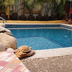 Hacienda Alemana - Saline Pool