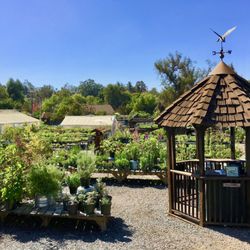 Pearson's Garden & Herb Farm - Enter into our botanical wonderland!