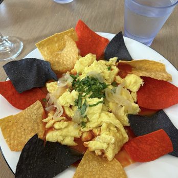 Meet Dalia - Huervos Rancheros - Mediterranean Near Me - Miami Beach, Florida Meet Dalia - Huervos Rancheros - Mediterranean Near Me - Miami Beach, Florida