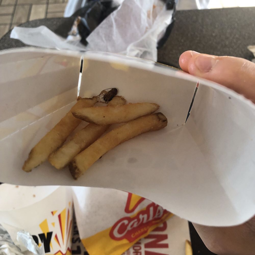 Deep fired Cockroach with fries Deep fired Cockroach with fries