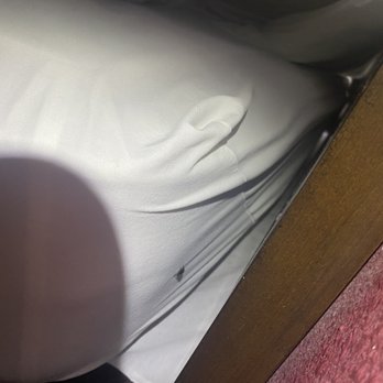 Econo Lodge Fallon Naval Air Station Area - Roach on bed - Hotels Near Me - Fallon, Nevada Econo Lodge Fallon Naval Air Station Area - Roach on bed - Hotels Near Me - Fallon, Nevada