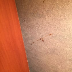 A Victory Inn & Suites - August 2015 - blood on the wall