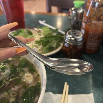 Pho 99 - New metal spoons. Keeps the broth very hot so blow it a bit. - Vietnamese Near Me - Harrisburg, Pennsylvania Pho 99 - New metal spoons. Keeps the broth very hot so blow it a bit. - Vietnamese Near Me - Harrisburg, Pennsylvania
