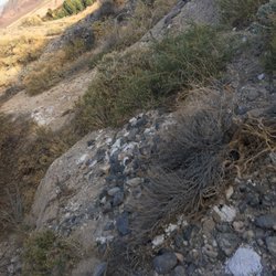 Shoshone Badlands Hiking Trail