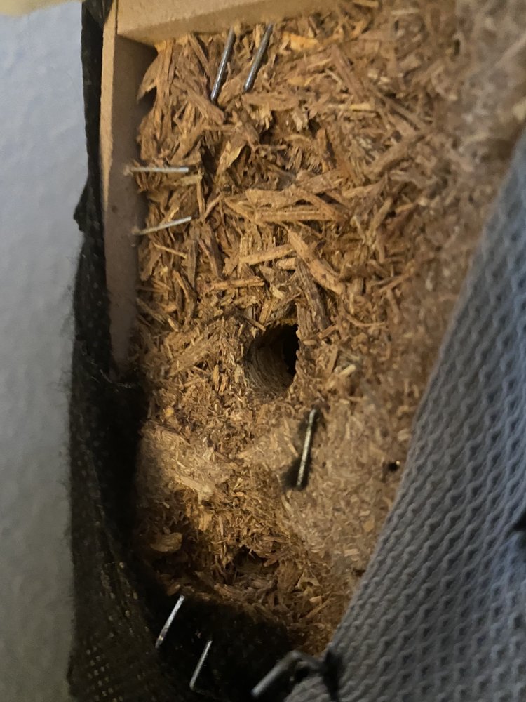 BEST FURNITURE 13 Photos & 59 Reviews 2298 Quimby Rd, San Jose, CA Yelp