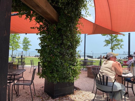 Rappahannock Oyster Co. by null