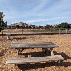 Centennial Park