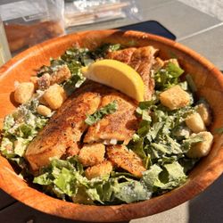 Nav-A-Gator Grill - Blackened white fish salad
