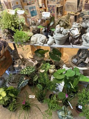 Botanica by null