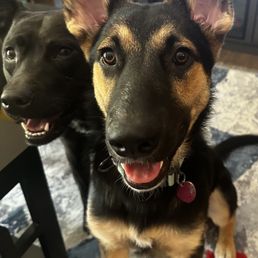 Ringo and Xena