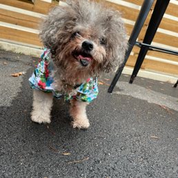 Outside