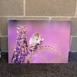 Bumblejax - Acrylic Print