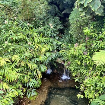 Akaka Falls State Park - Parks Near Me - Honomu, Hawaii