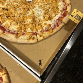 Amato's Pizza - Buffalo Chicken Pizza Buffalo Chicken Pizza - Pizza Near Me - Sicklerville, New Jersey Amato's Pizza - Buffalo Chicken Pizza Buffalo Chicken Pizza - Pizza Near Me - Sicklerville, New Jersey