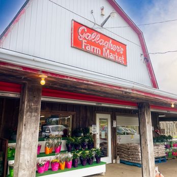Gallagher's Farm Market - Farm Fresh - Farmers Market Near Me - Fenwick, Ontario Gallagher's Farm Market - Farm Fresh - Farmers Market Near Me - Fenwick, Ontario