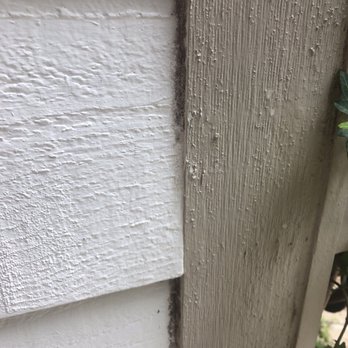 Clean and Green Solutions - Gutter Services Near Me Clean and Green Solutions - Gutter Services Near Me