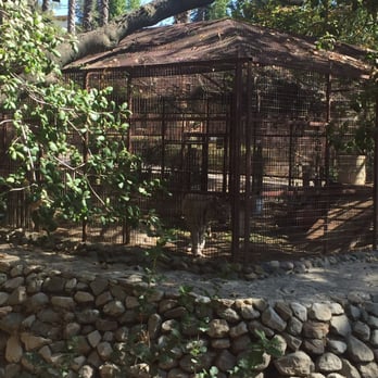Rancho Las Lomas - White tiger ! - Venues & Event Spaces Near Me - Silverado, California Rancho Las Lomas - White tiger ! - Venues & Event Spaces Near Me - Silverado, California