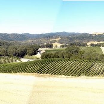 The Inn at Opolo - From picnic table and beyond. (I know, lousy camera skills, i should have put it in manual mode.) - Bed & Breakfast Near Me - Paso Robles, California