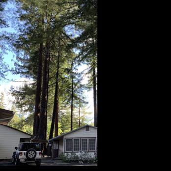 Miranda Gardens Resort - My cabin was in front of jeep - Resorts Near Me - Miranda, California