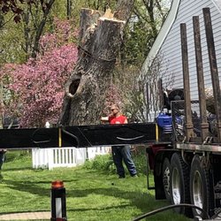 Haskell Tree Service - Almost done!