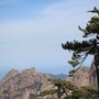 Photo of Les Aiguilles de Bavella