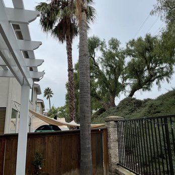 A's Tree Service - Tree Services Near Me - Placentia, California