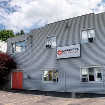 Simpawtico Dog Training - Pet Training Near Me - Big Flats, New York Simpawtico Dog Training - Pet Training Near Me - Big Flats, New York