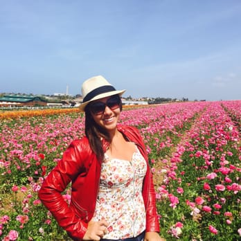 The Flower Fields - Venues & Event Spaces Near Me - Carlsbad, California The Flower Fields - Venues & Event Spaces Near Me - Carlsbad, California