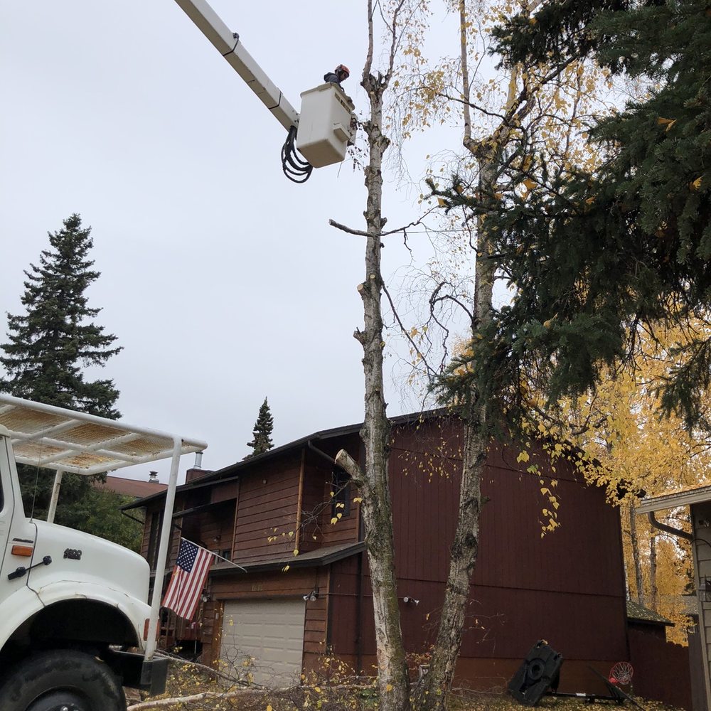 Evergreen Tree Services - a man on a cherry picker - Tree Services Near Me - Hot Springs, Arkansas