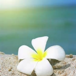 Ohana Healing Arts