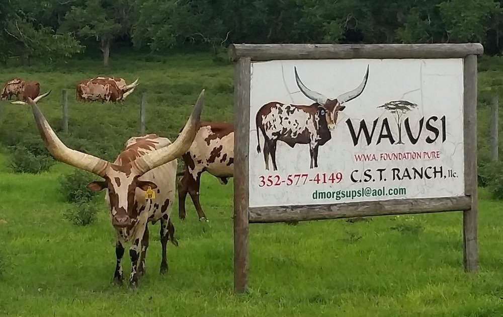 HILLANDALE QUALITY FEEDS Updated September 2024 9561 SW State Rd