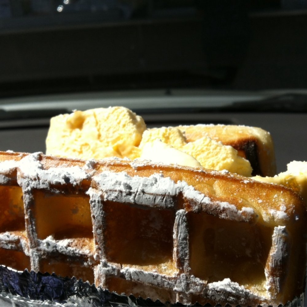 waffle ice cream sandwich! waffle ice cream sandwich!