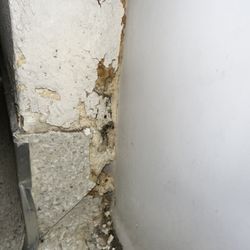 Westview Terrace Apartments - my carpet being rotten and if I can change it myself and I was told I wasn't allowed to do that. I was told I have to pay for them to fix it