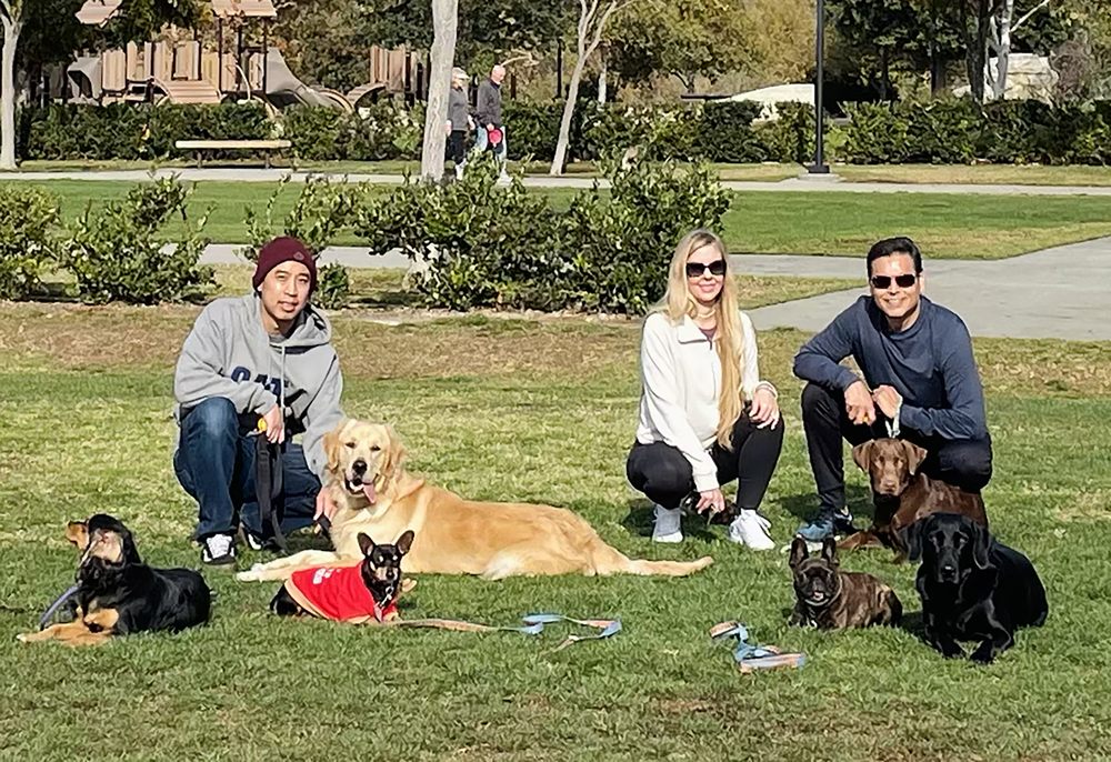 PEAK PERFORMANCE DOG TRAINING 28 Photos & 17 Reviews Ladera Ranch