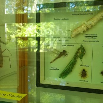 Sandy Bottom Nature Park - Display inside the nature centre - Parks Near Me - Hampton, Virginia Sandy Bottom Nature Park - Display inside the nature centre - Parks Near Me - Hampton, Virginia