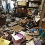 Photo of Let’s Do Junk