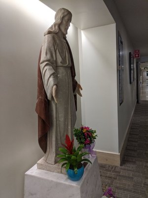 AHMC Seton Medical Center by null