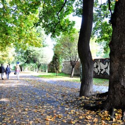 Młynówka Królewska