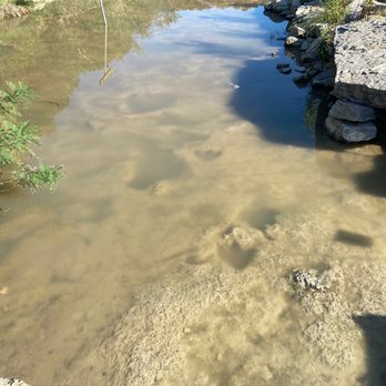 Dinosaur Valley State Park - Parks Near Me - Glen Rose, Texas