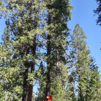 Camp Chawanakee - Summer Camps Near Me - Shaver Lake, California Camp Chawanakee - Summer Camps Near Me - Shaver Lake, California