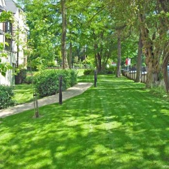 On-Site Maintenance & Repairs - Photo - Gardeners Near Me - Kitchener, Ontario On-Site Maintenance & Repairs - Photo - Gardeners Near Me - Kitchener, Ontario