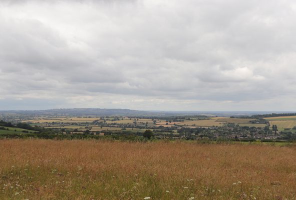The Rollright Stones by null