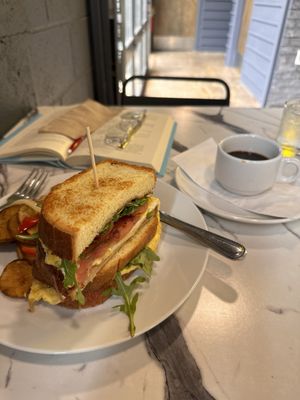 Poach Social by null